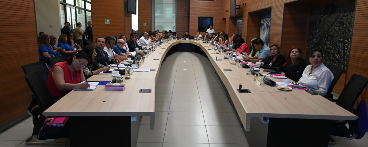 En el marco de la quinta sesión plenaria 2024 del Consejo Regional Metropolitano de Santiago, espacio presidido por el gobernador y presidente del CORE, Claudio Orrego, se aprobaron iniciativas en torno al equipamiento y transporte blindado para Gendarmería, luminarias públicas, mejoramiento de espacios públicos, buses eléctricos, salud mental y camiones aljibes multipropósito para municipios.
