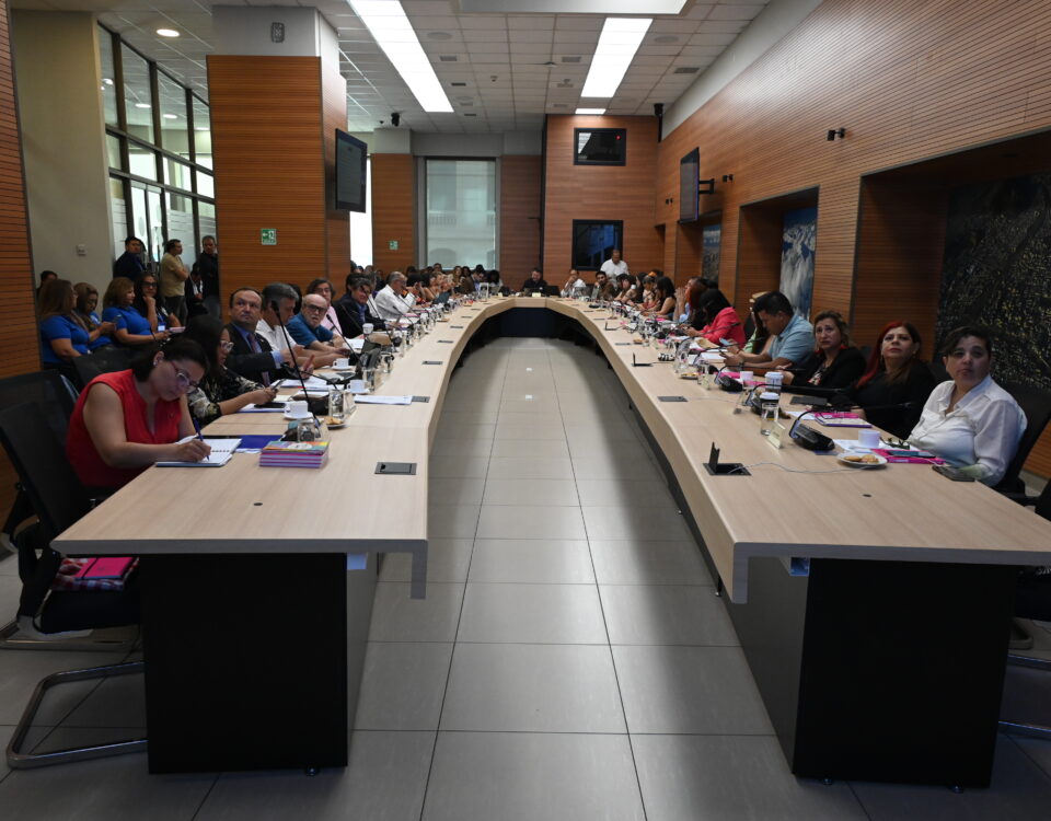 En el marco de la quinta sesión plenaria 2024 del Consejo Regional Metropolitano de Santiago, espacio presidido por el gobernador y presidente del CORE, Claudio Orrego, se aprobaron iniciativas en torno al equipamiento y transporte blindado para Gendarmería, luminarias públicas, mejoramiento de espacios públicos, buses eléctricos, salud mental y camiones aljibes multipropósito para municipios.